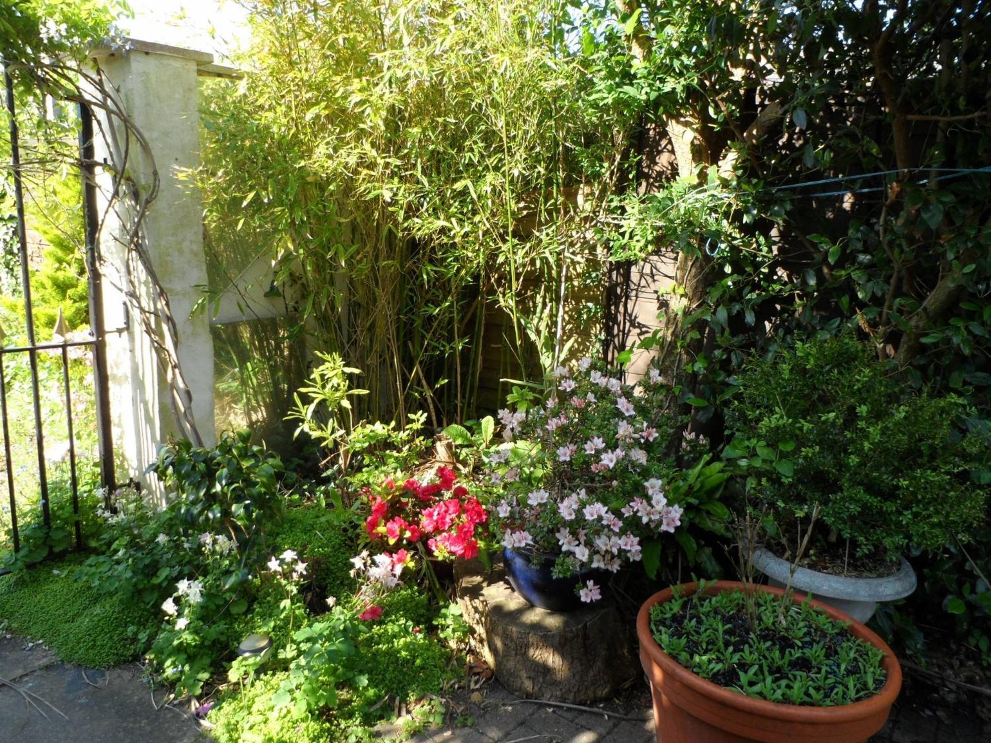 Galway Guest House ويموث المظهر الخارجي الصورة