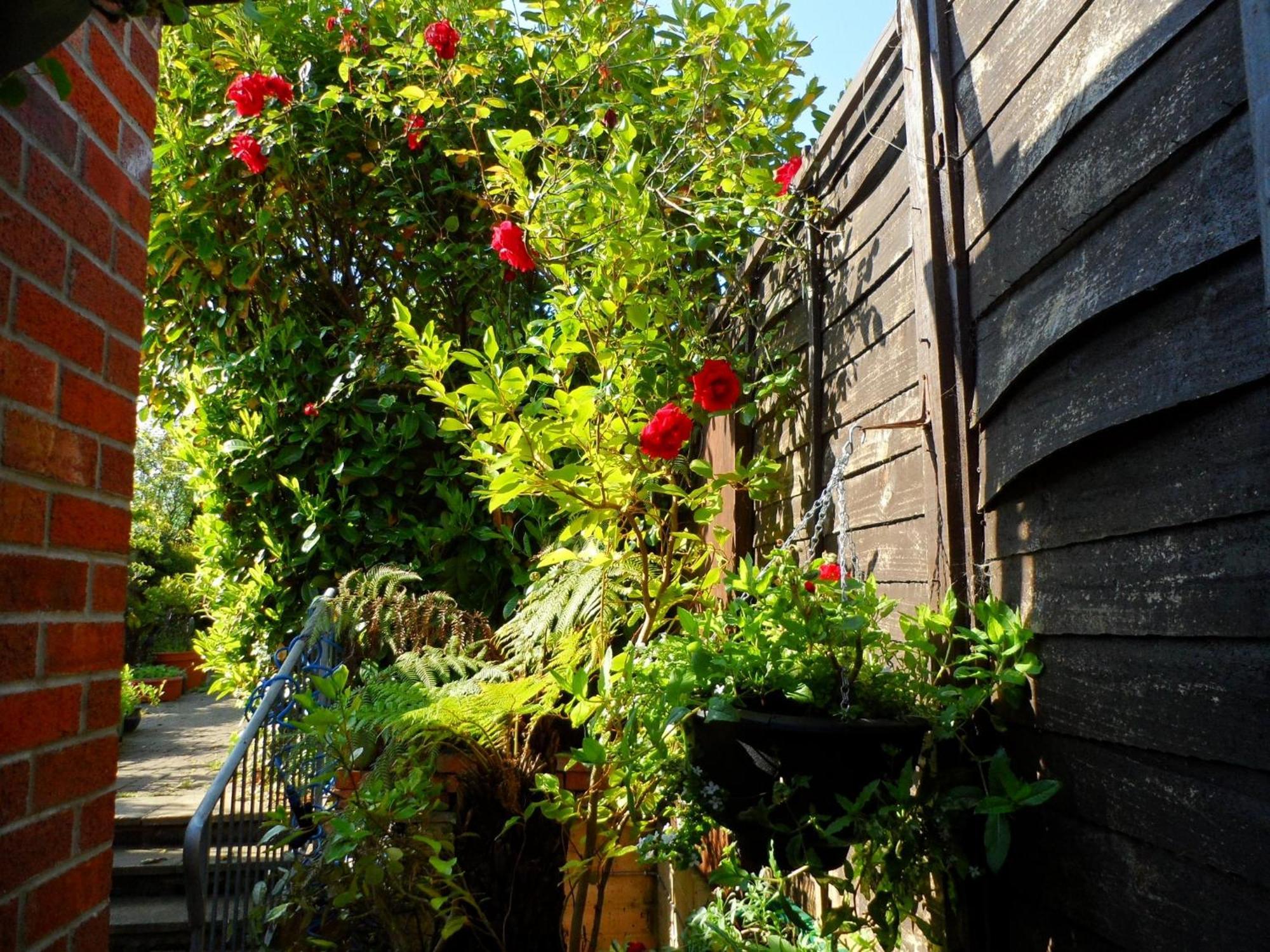 Galway Guest House ويموث المظهر الخارجي الصورة